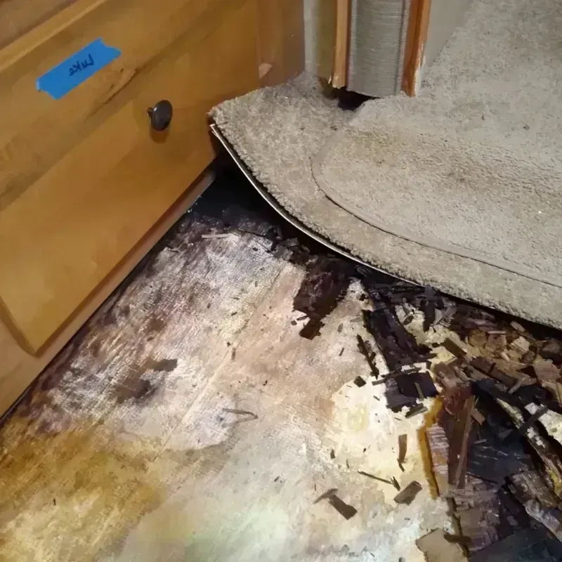 Wood Floor Water Damage in Maplewood, NJ